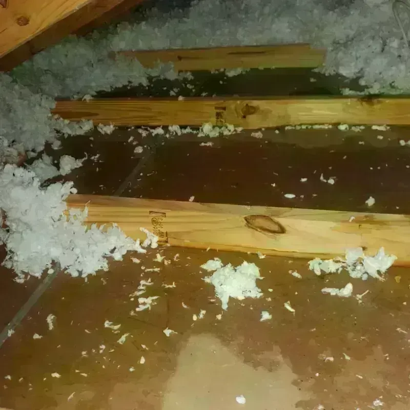 Attic Water Damage in Junction City, OR